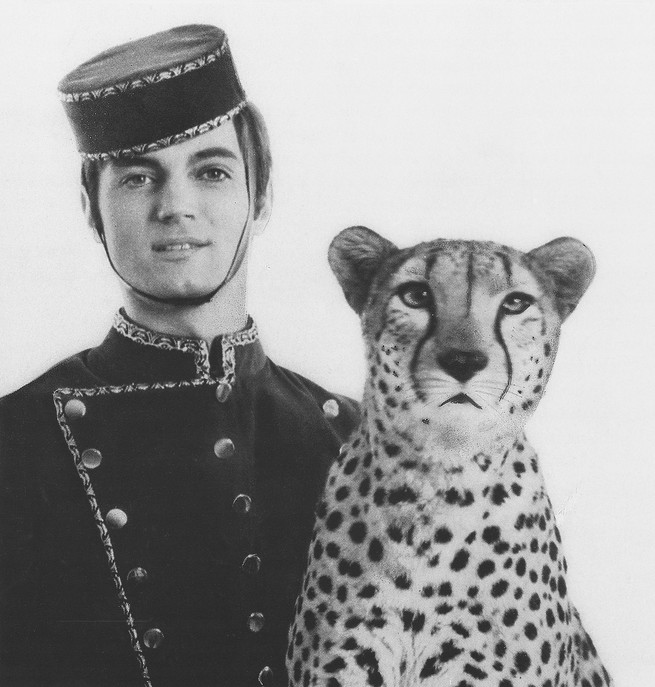 A photograph of a young Roy with a cheetah.