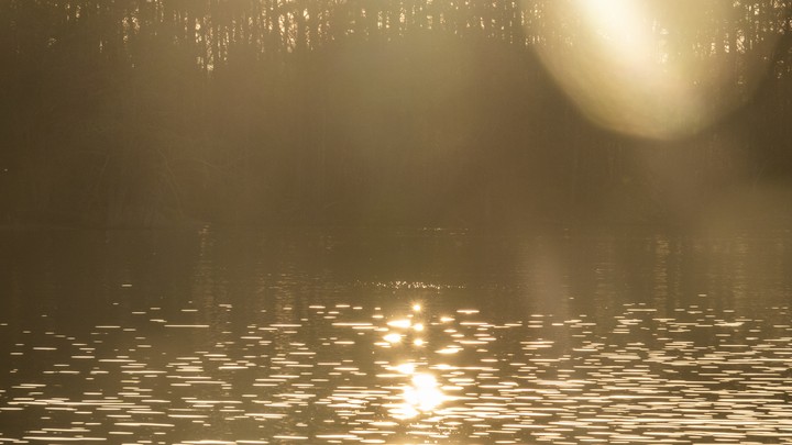 Sunlight glints on a pool of water