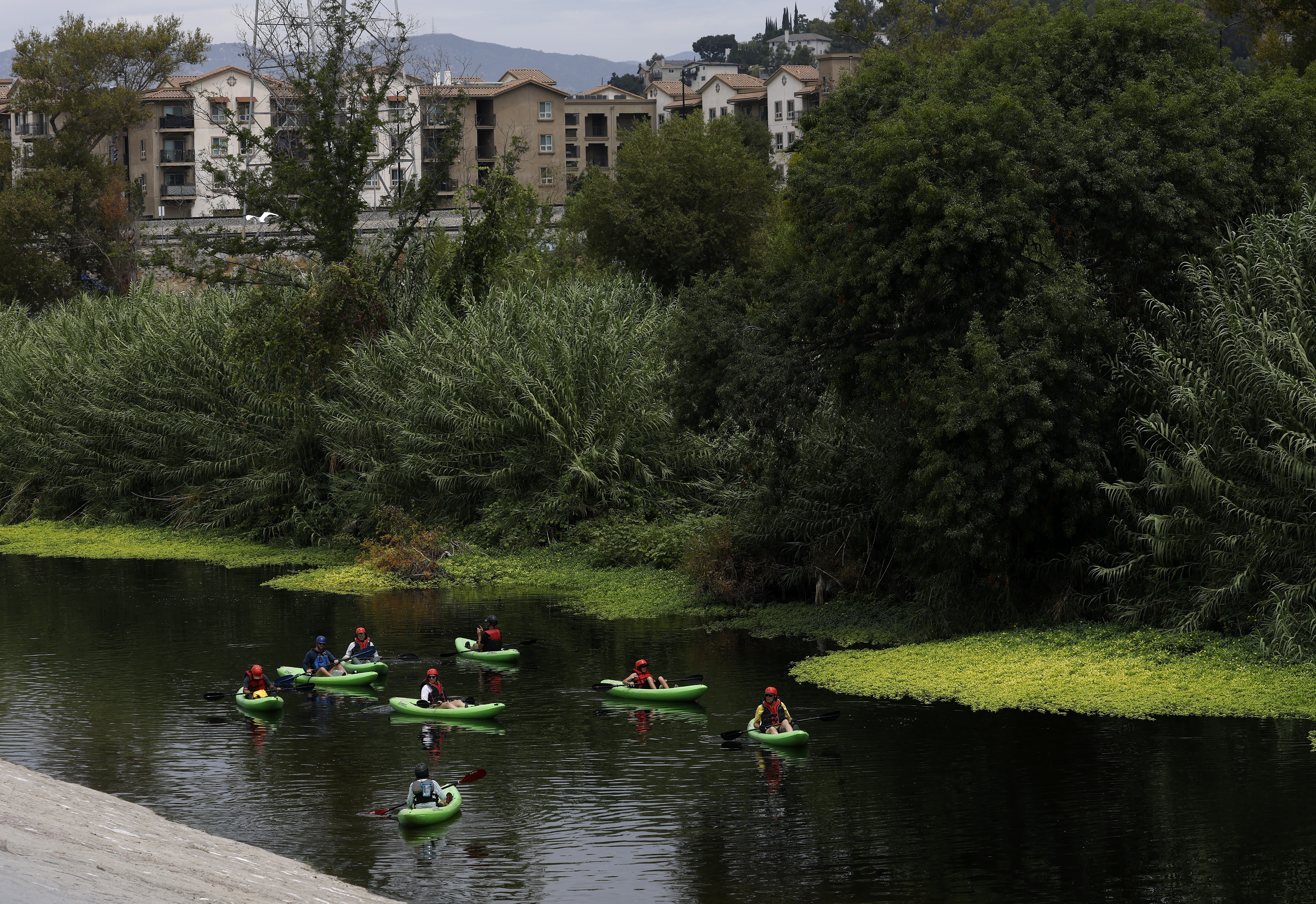 Kayakers paddle past trees and aquatic plants, with residential buildings in the background.