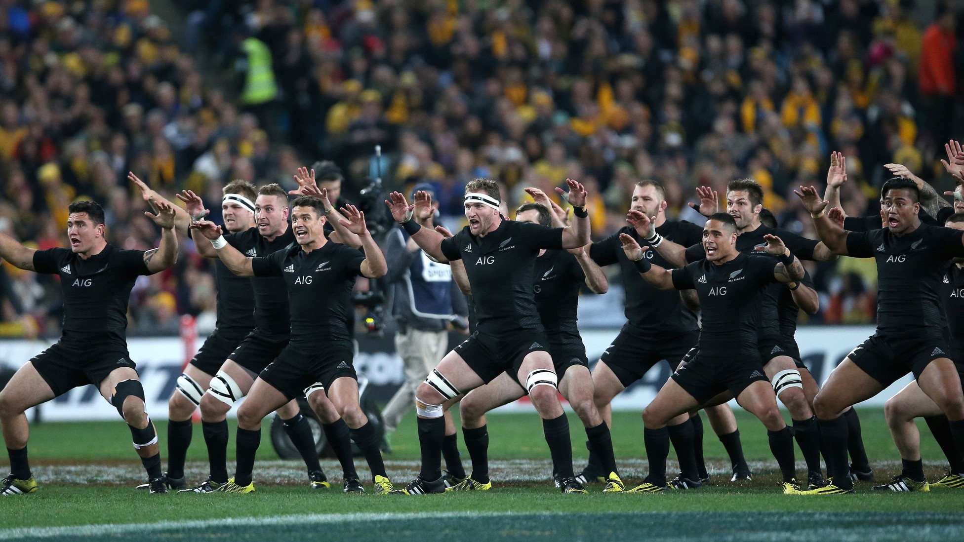 World Cup 2015: New Zealand's National Rugby Team's 'Haka' Celebrates