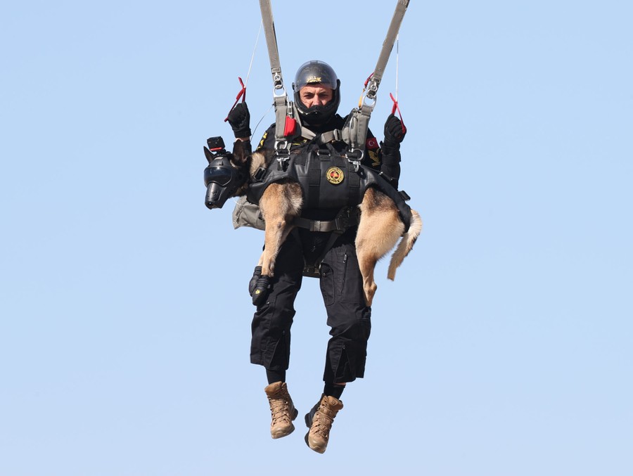 A soldier hangs from a parachute, descending with a working dog strapped to the front of their harness.
