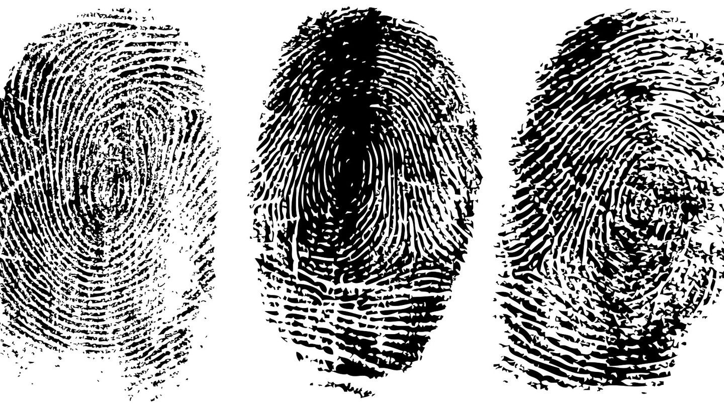 Three black-and-white fingerprints against a white background.