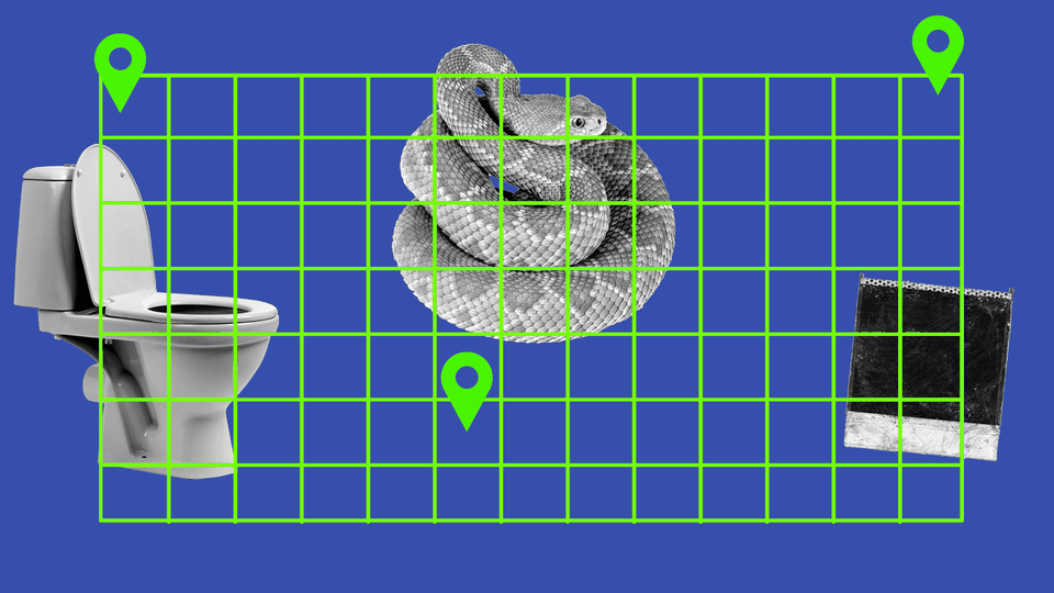 A toilet, a snake, and a Polaroid on a map grid
