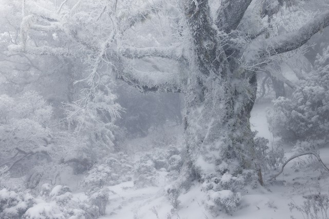 Winners of the 2025 Natural Landscape Photography Awards - The Atlantic