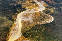 The Salmon River in the Brooks Range runs orange in the early fall of 2020.