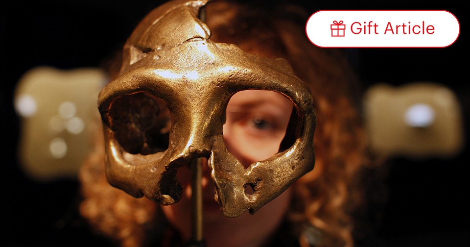 Saraton va Torosning jinsiy muvofiqligi