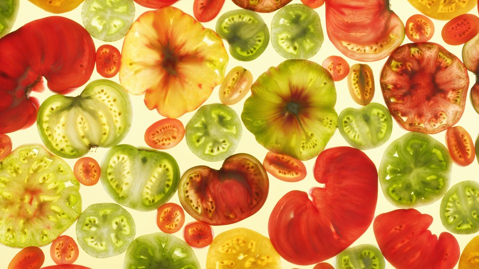 Colorful tomato slices