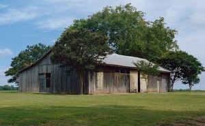 A weathered barn near Drew, Mississippi, surrounded by trees and green grass
