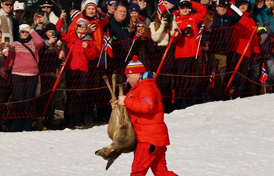 A person carries a deer by its legs, removing it from a ski course, as spectators look on.