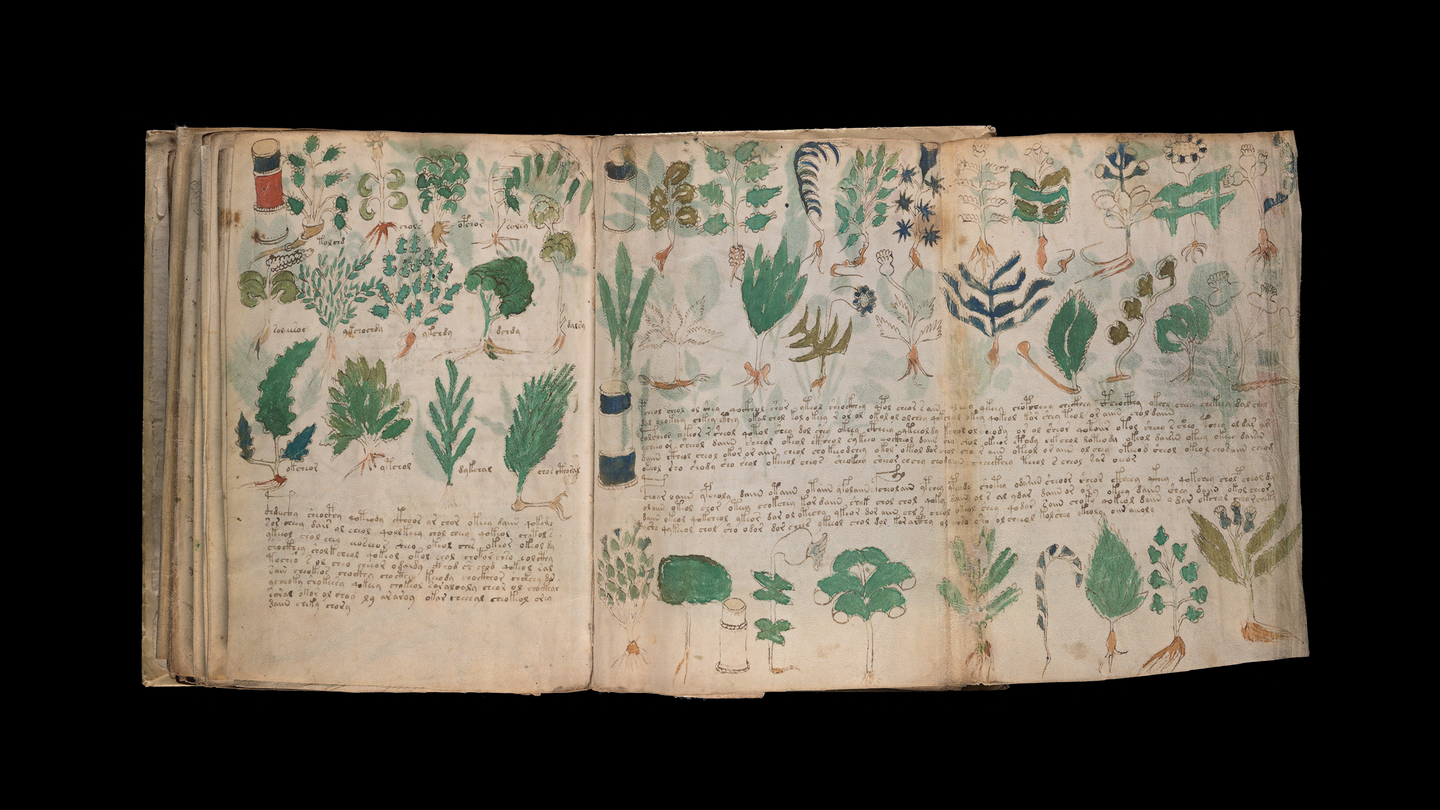 photo of medieval book open with right page that folds out, covered with various drawings of plants and long rows of handwritten script