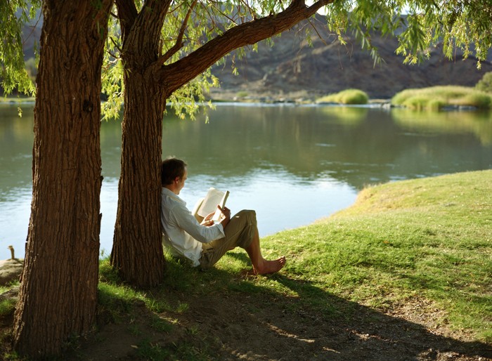 reading by the lake