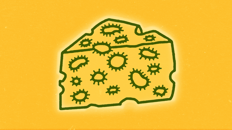 An illustration of infected cheese