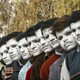 Teachers working on contract pose with their painted faces during a protest in the northern Indian city of Chandigarh. They are standing in a row.