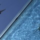 A view looking up, partly through a transparent swimming pool, with an aircraft in the sky above.