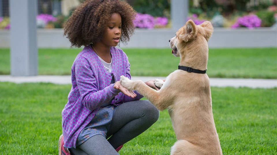 Why A Black Annie Is So Significant The Atlantic