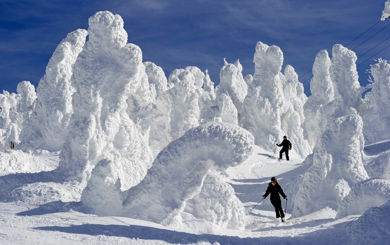Skiers pass gigantic ice deposits on trees.