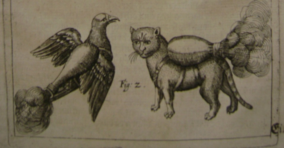 UPDATE! Cat Bombs More Prevalent Than Previously Thought - The Atlantic