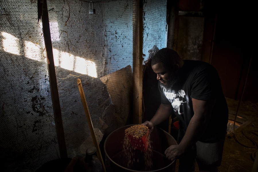 Stephfon Darnell Tolbert, 24, prepares feed for his horses on Sunday, October 16, 2016. The horsemen have tack rooms where they keep the supplies, feed and hay for the animals.