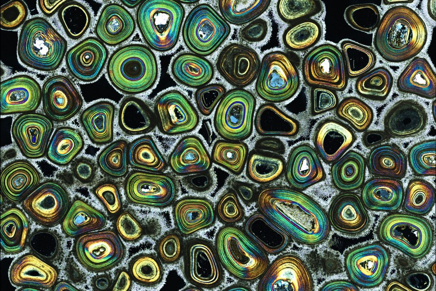 Close view of a slice of colorful rock