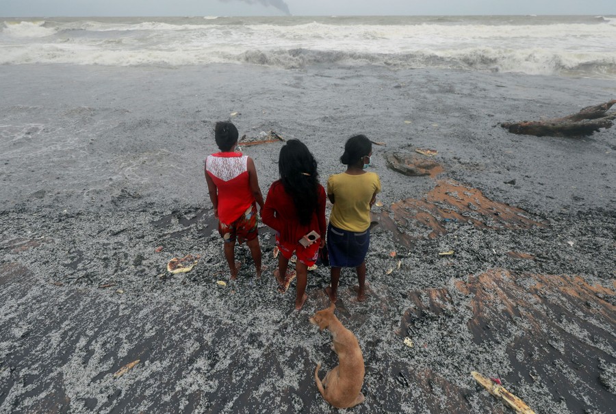 Three people and a dog stand on a polluted beach, looking out to sea.