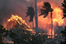 Photo of the Lahaina Hongwanji Mission temple on fire, surrounded by palm trees