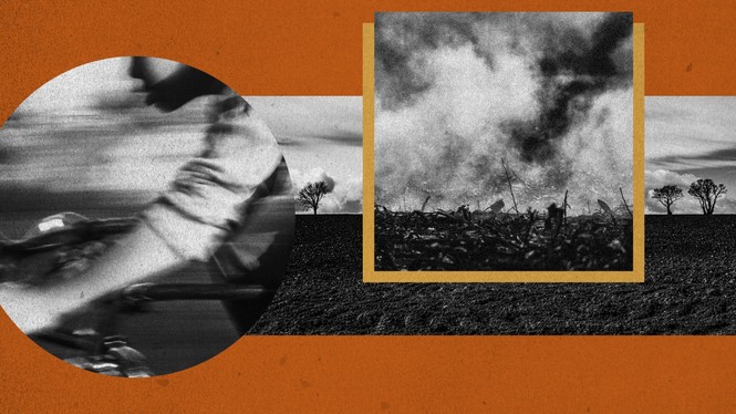 Joe Sohm / Universal Images / Getty; Getty; Catherine Falls / Getty; Cedric von Niederhausern / The Atlantic