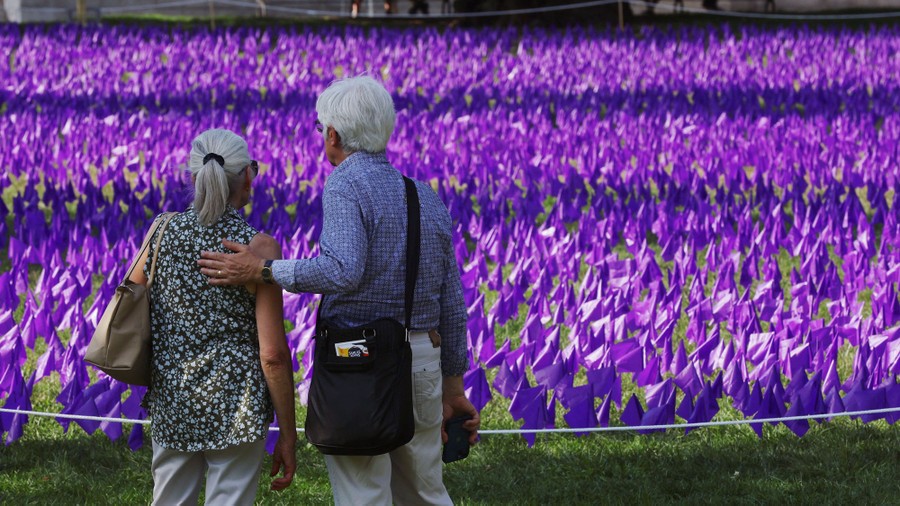 A couple looks over a large field of small purple flags in a park.