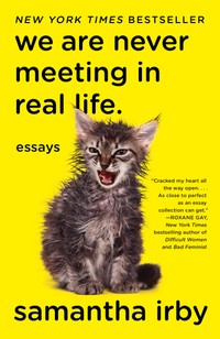 The cover of We Are Never Meeting in Real Life