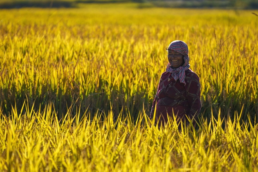 A person stands smiling in a field of tall plants.