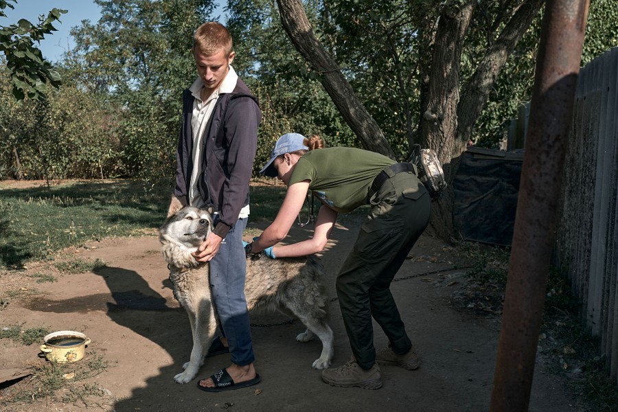 A person stands astride their pet dog as a veterinarian leans over to administer a vaccination shot.