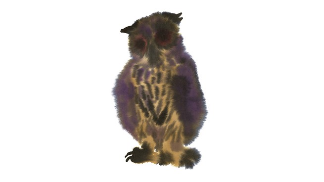 dark ink-blot-like illustration of standing horned owl on white background
