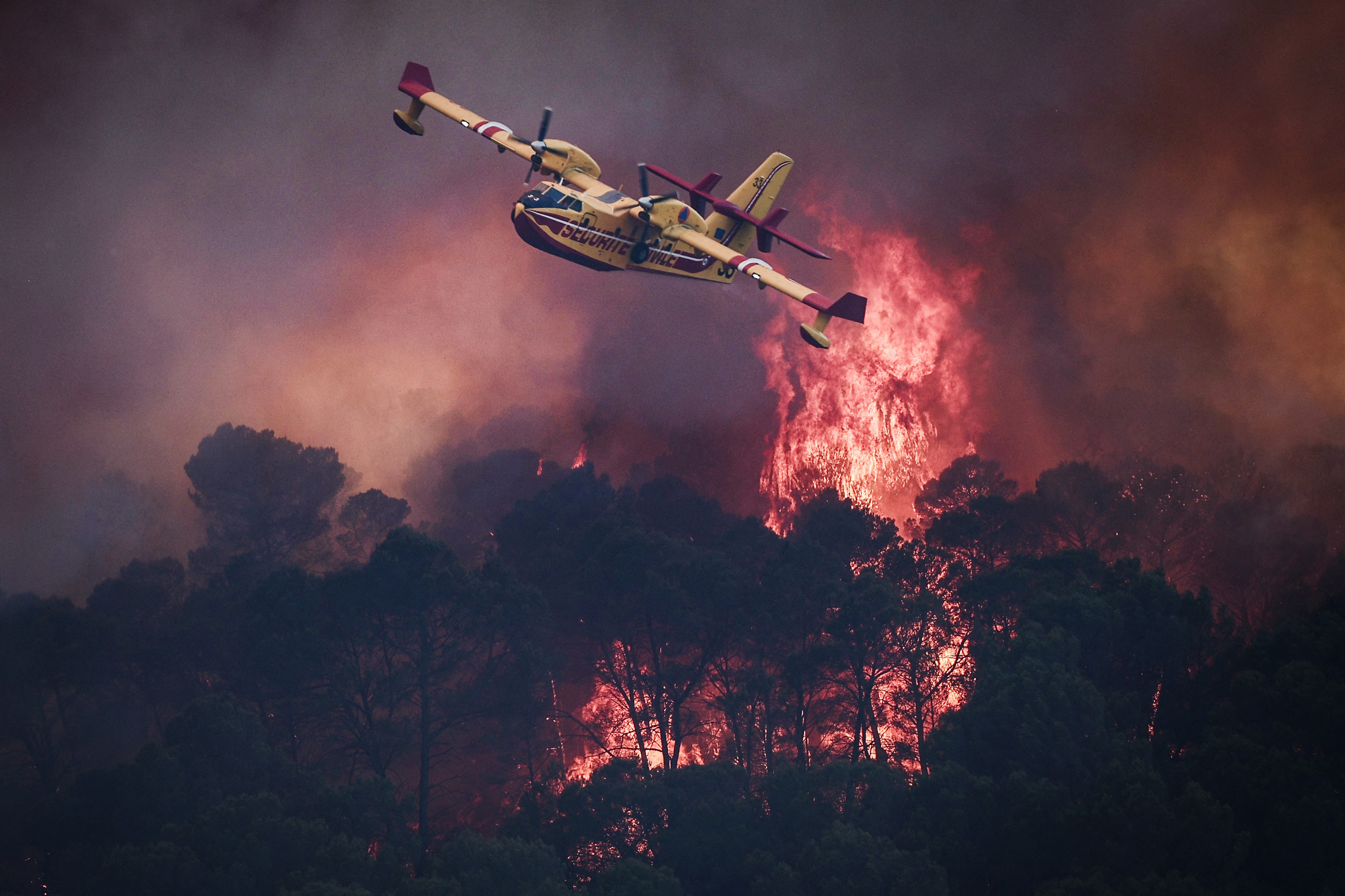 A firefighting aircraft flies above a wildfire in a forest.