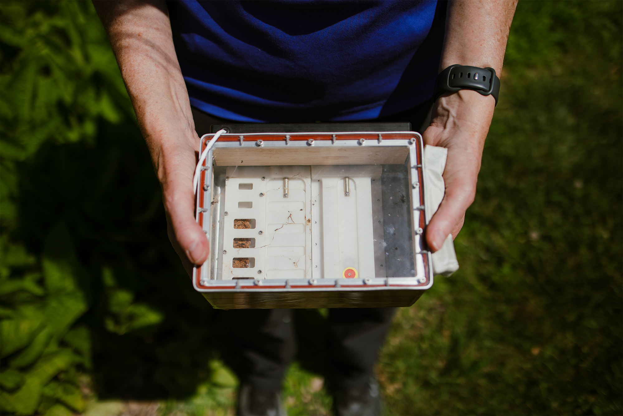 the forearms of a figure holding a white butterfly habitat box, used to transport monarch caterpillars from the center to the International Space Station in 2009.