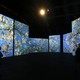 Several large projections of Van Gogh paintings