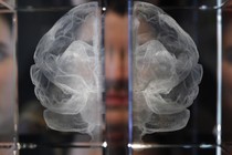 A glass etching of a brain