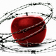 Illustration of an apple surrounded by barbed wire