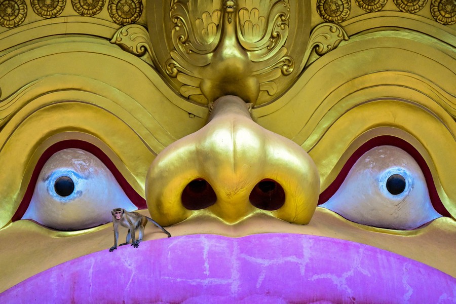 A monkey climbs on a huge golden statue.