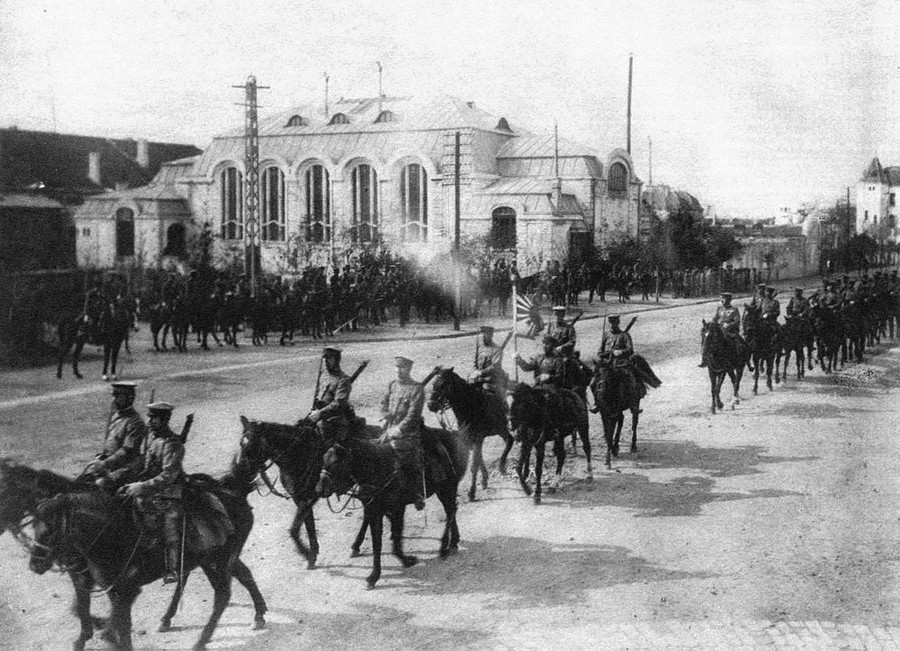 pics World War 1 Photos Animals In The War The Atlantic world war i in photos animals at war
