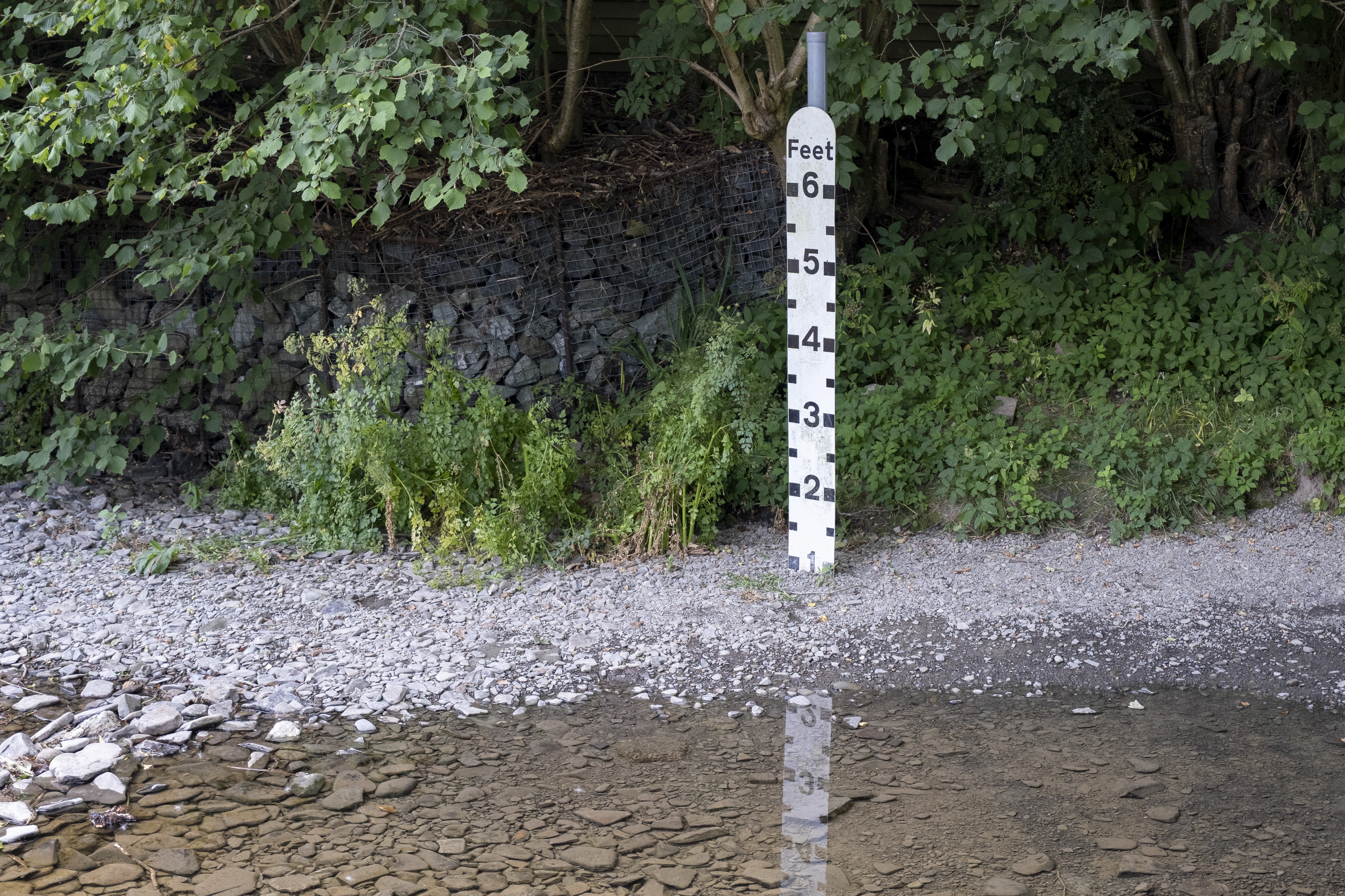 A 6-foot-tall water-level marker stands above the low water of a river.