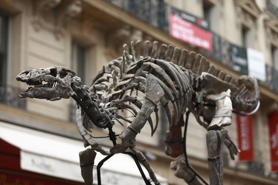 A fossilized dinosaur skeleton sits outside a building.