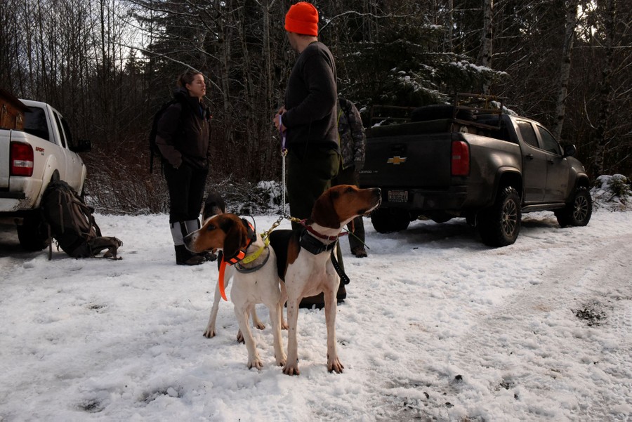 Two people stand beside a snow-covered forest road, one holding two dogs on a leash.