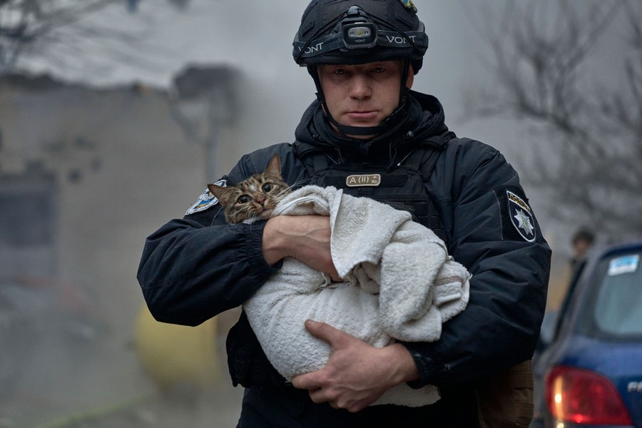 A rescue worker carries a cat wrapped in a towel.