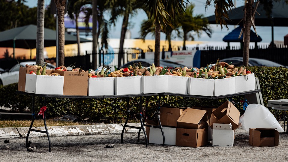 fruits and vegetables in boxes