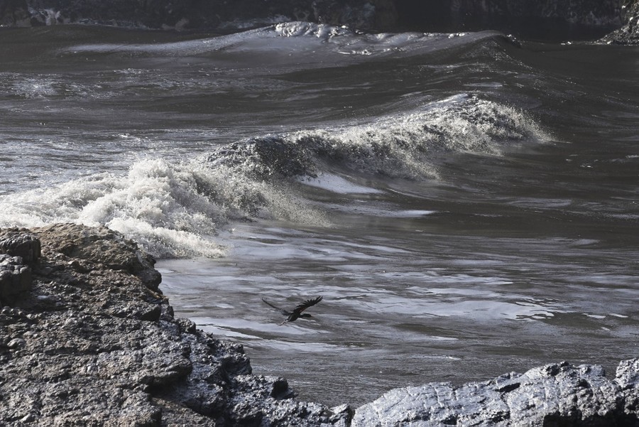 Waves crash near a shore, covered in floating oil.