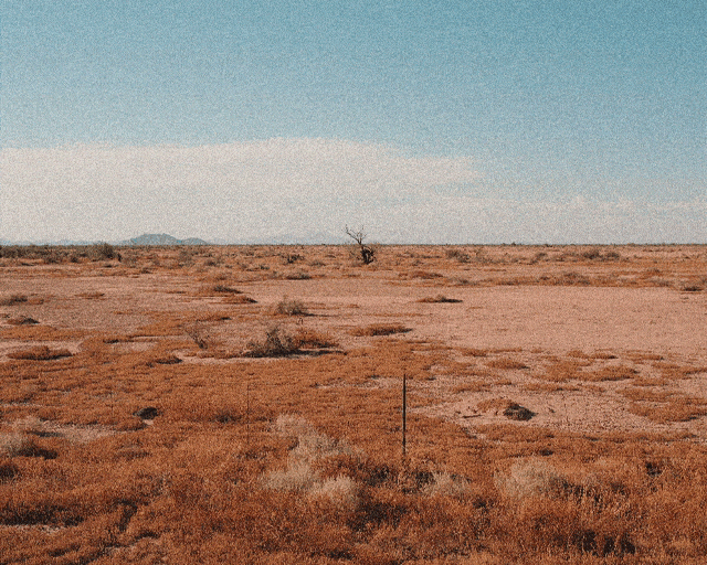 animation of the desert