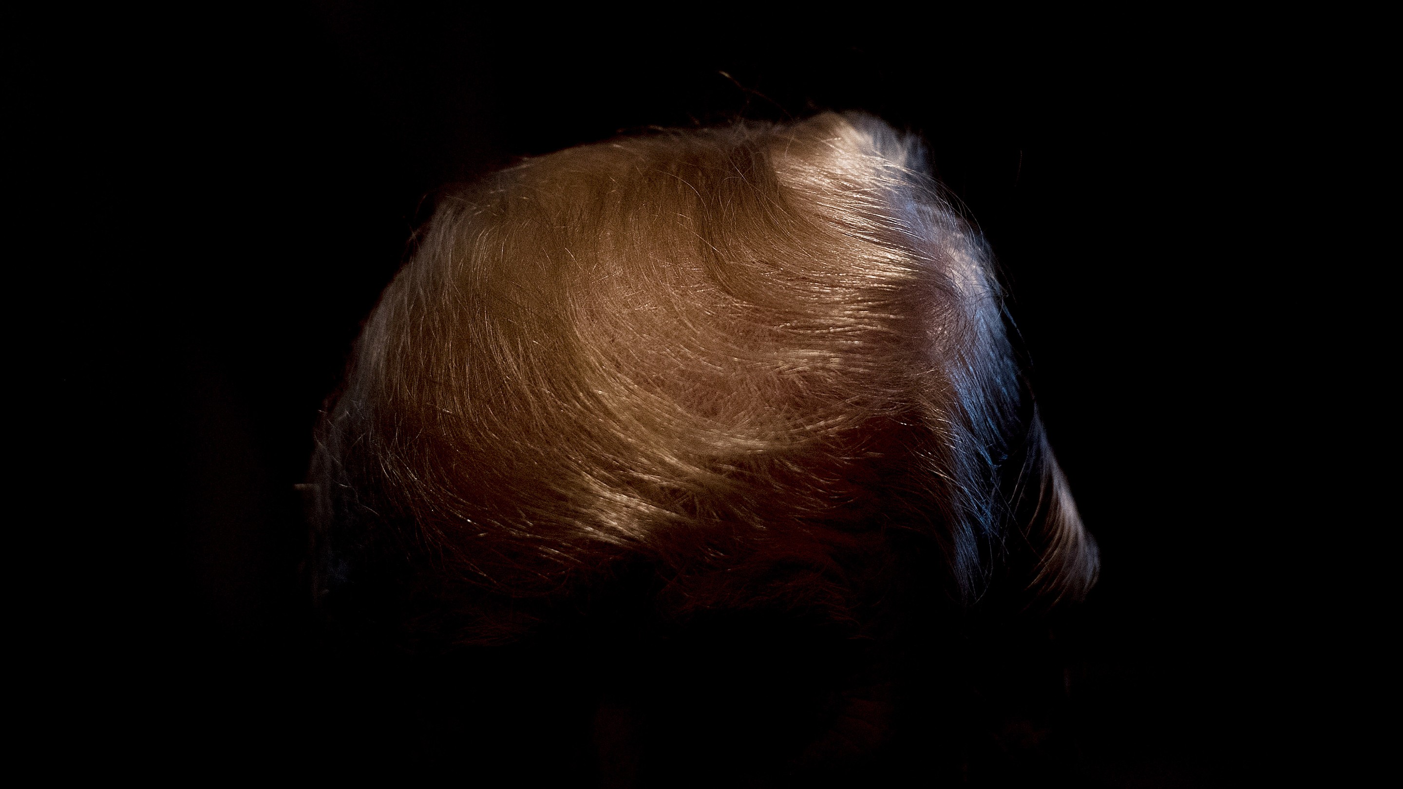 The Surprising Return of the Blockbuster Trump Book