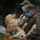 Two men in uniform hold dogs they are training