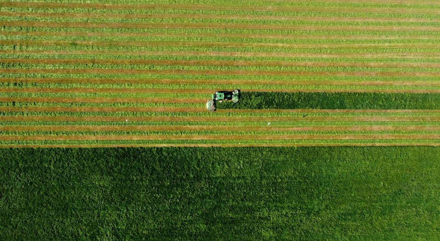 An aerial view of a farmer cutting grass in rows with a tractor