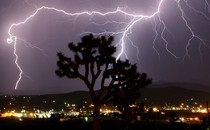 Lightning strikes above a small city at nighttime, a Joshua tree in the foreground.