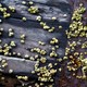 A close up of a ship hull covered with barnacles